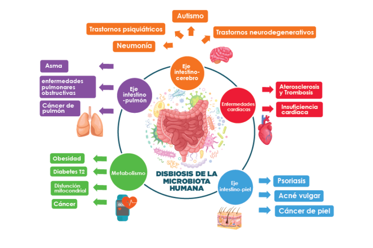 Microbiota y su rol en la salud visual