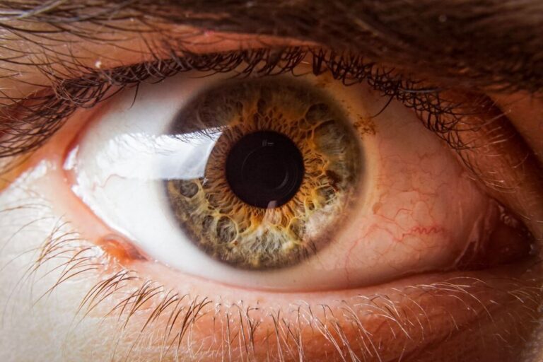 Investigación revela avances en el tratamiento de la retinopatía diabética