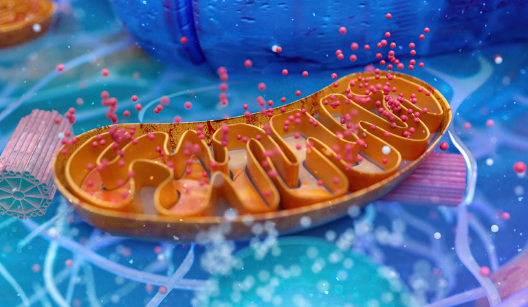 Oxígeno y retina: una relación tan necesaria como peligrosa